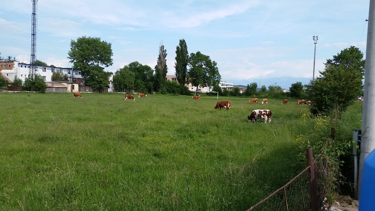 „Sibiul avea nevoie ca de aer de așa ceva”. Cel mai nou teren de fotbal din oraș, amenajat în Broscărie