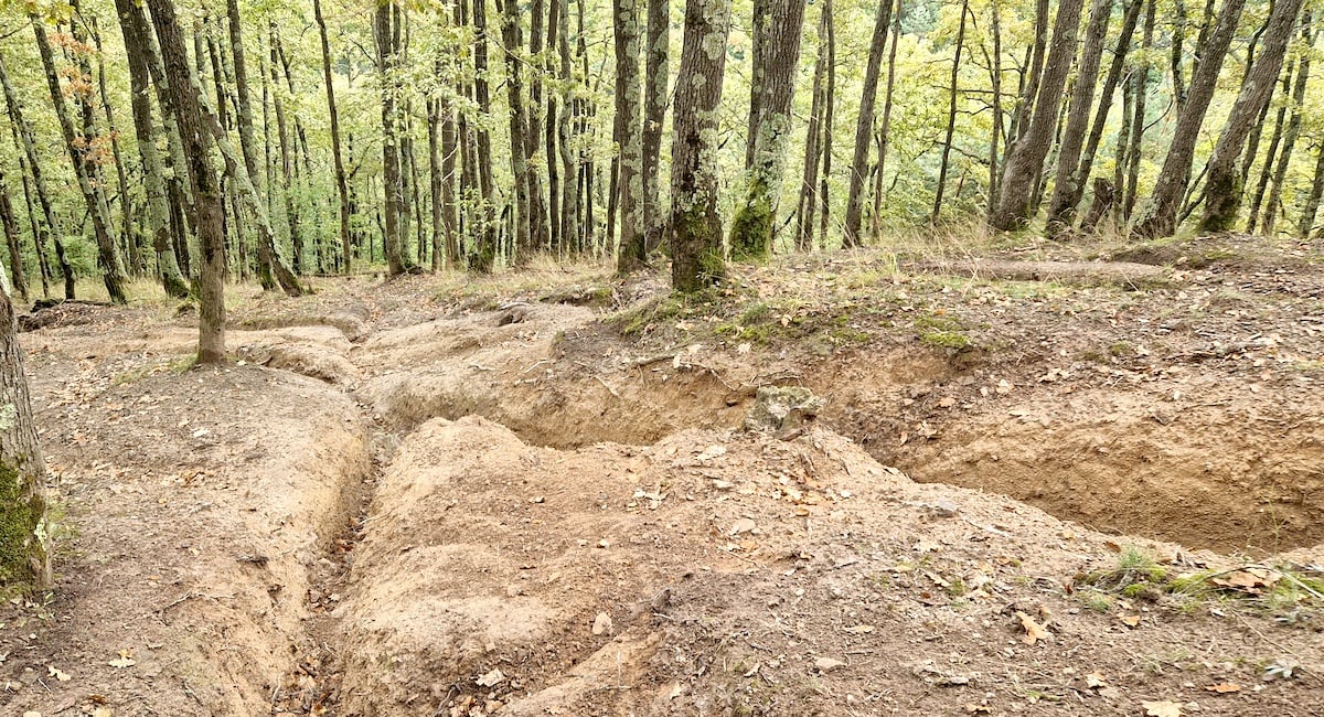Cum au procedat jandarmii pentru a amenda primii „enduriști” sibieni anul acesta: „Au auzit motoarele, s-au deplasat înspre pădure”