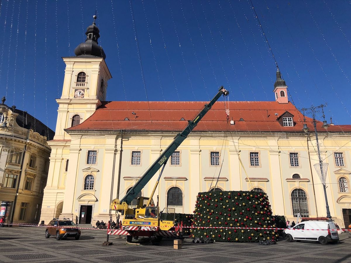 montare-brad-piata-mare-ybdi