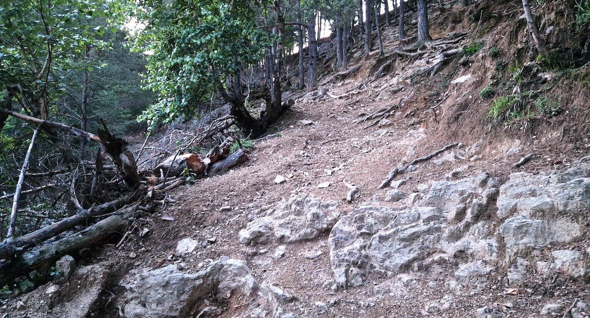 Cum au procedat jandarmii pentru a amenda primii „enduriști” sibieni anul acesta: „Au auzit motoarele, s-au deplasat înspre pădure”