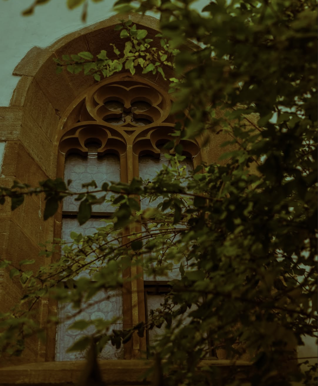 Ferestre din Sibiu: O ingineră în industria alimentară a creat un proiect prin care surprinde în fotografii frumusețea ferestrelor din Sibiu. „Fereastra unei case este, fără să ne dăm seama, o oglindă a celor care trăiesc înăuntru”