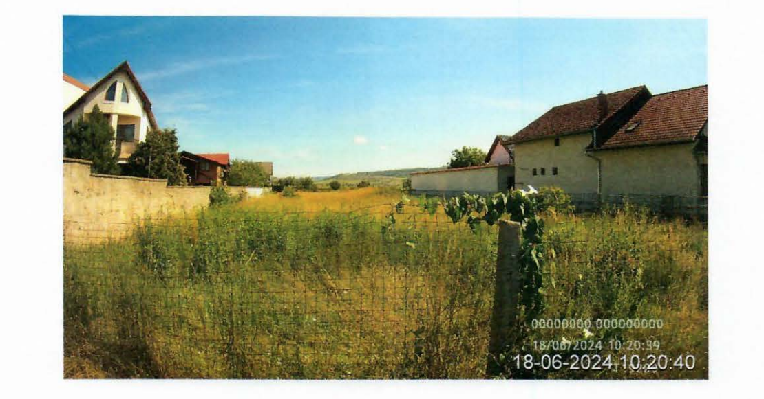 Mai mulți proprietari de terenuri din Sibiu au fost somați în acest an să-și îngrijească proprietățile. Unii au scăpat de sancțiune - impozit majorat cu 500%