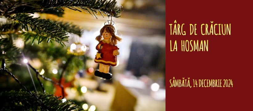 Șapte idei de târguri de Crăciun pe care le putem vizita în județul Sibiu începând din acest weekend. „Magia sărbătorilor de iarnă reușește să aducă comunitatea laolaltă”