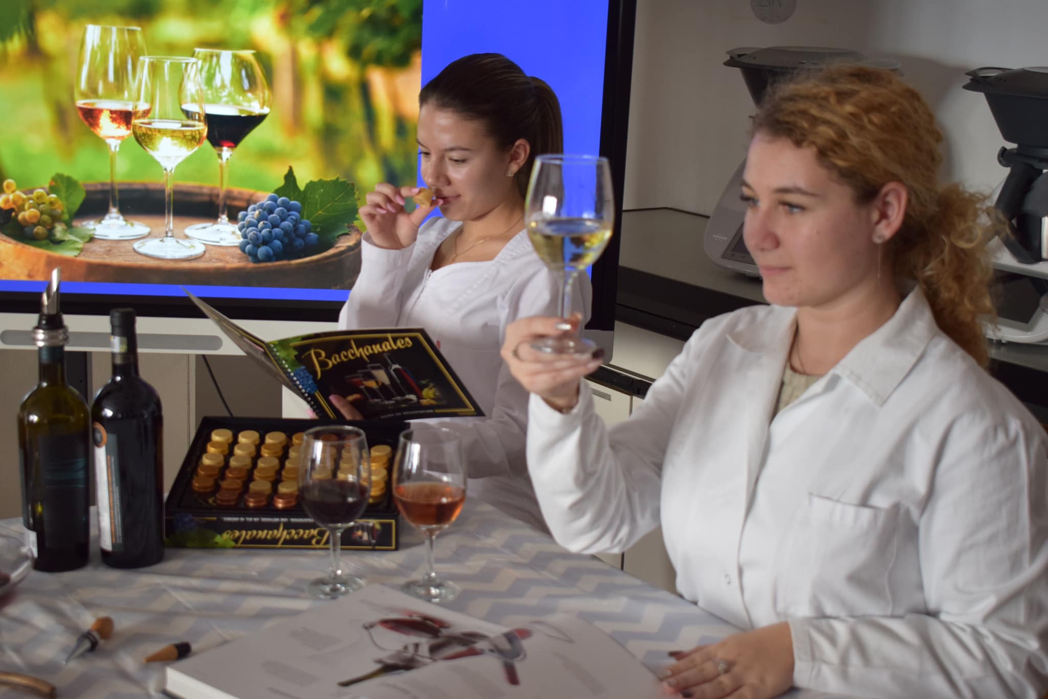 ULBS va produce propriul vin: a concesionat 10 hectare de teren la Hoghilag pentru o fermă viticolă