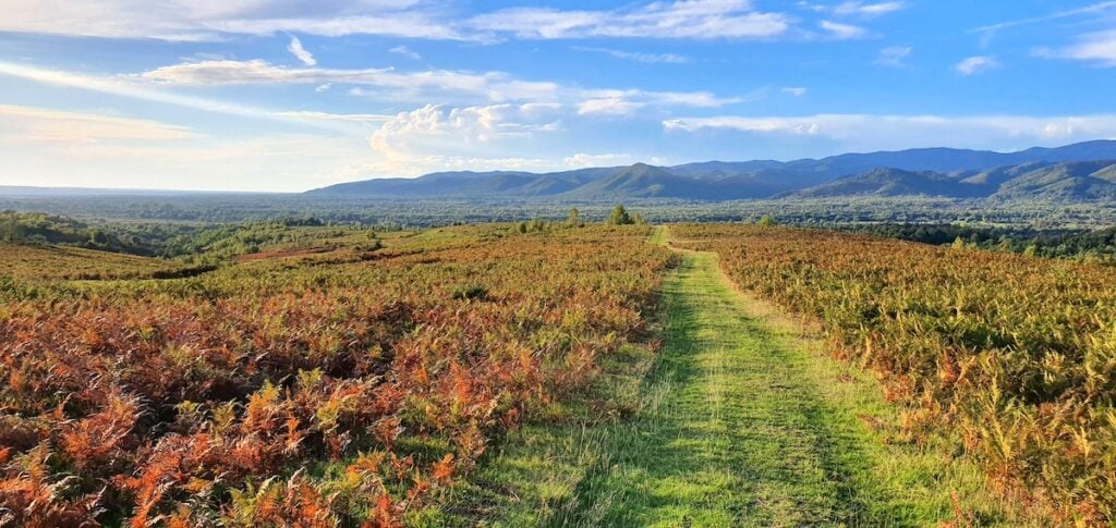 25-dealuri-ferigi-via-transilvanica-l7ao