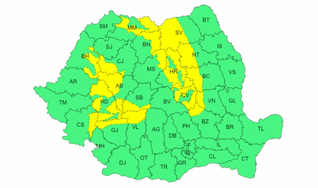 screenshot-2025-01-05-at-10-29-58-nzrs