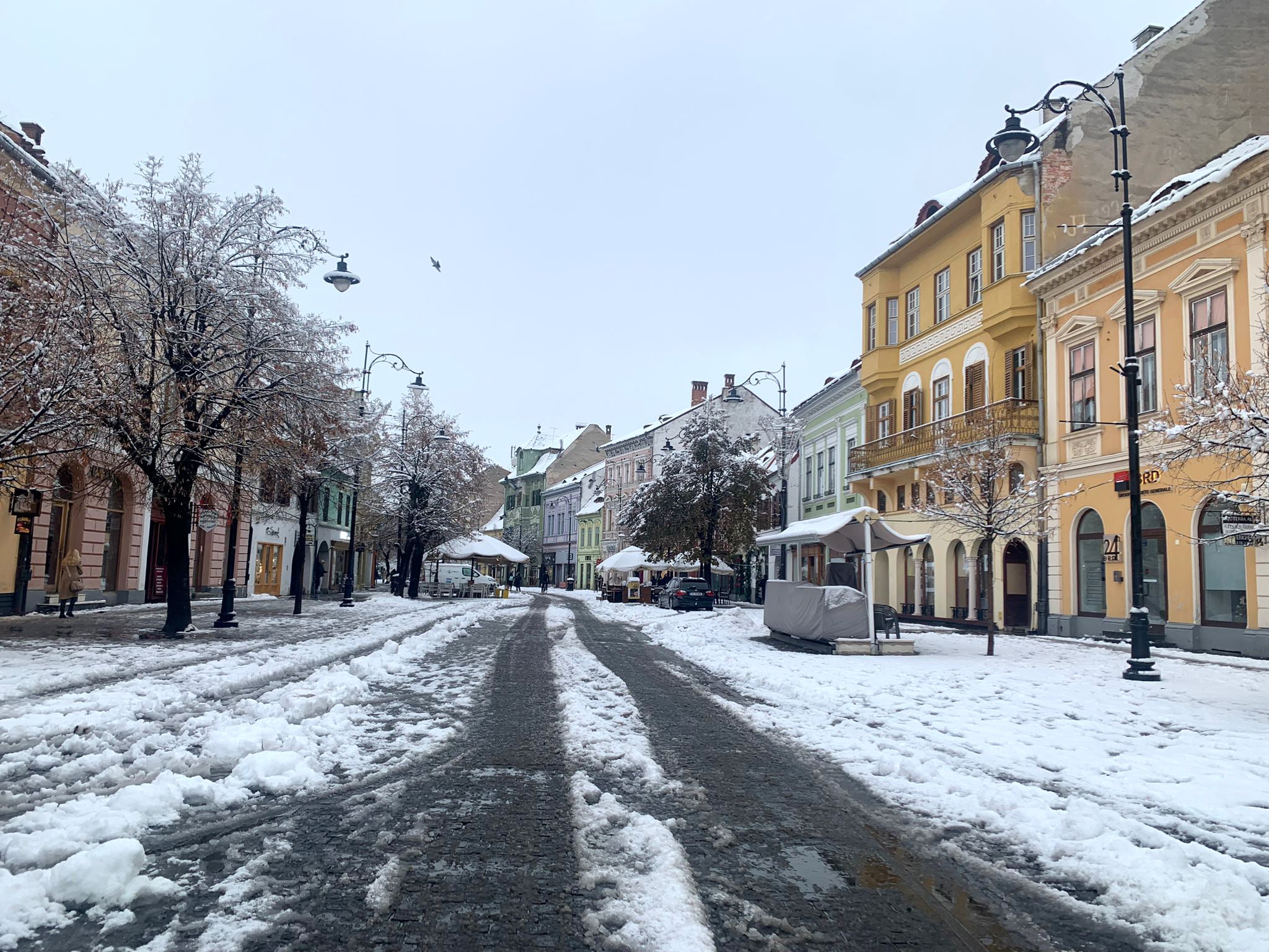 Primăria modifică regulamentul teraselor și tonetelor: cei care opresc vânzarea mai mult de două zile consecutiv trebuie să plece. Înghețata trebuie vândută zilnic, și iarna