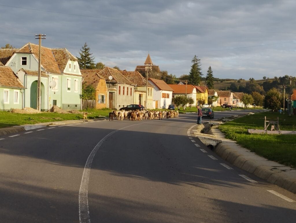 sat-transilvania-judet-k5vb