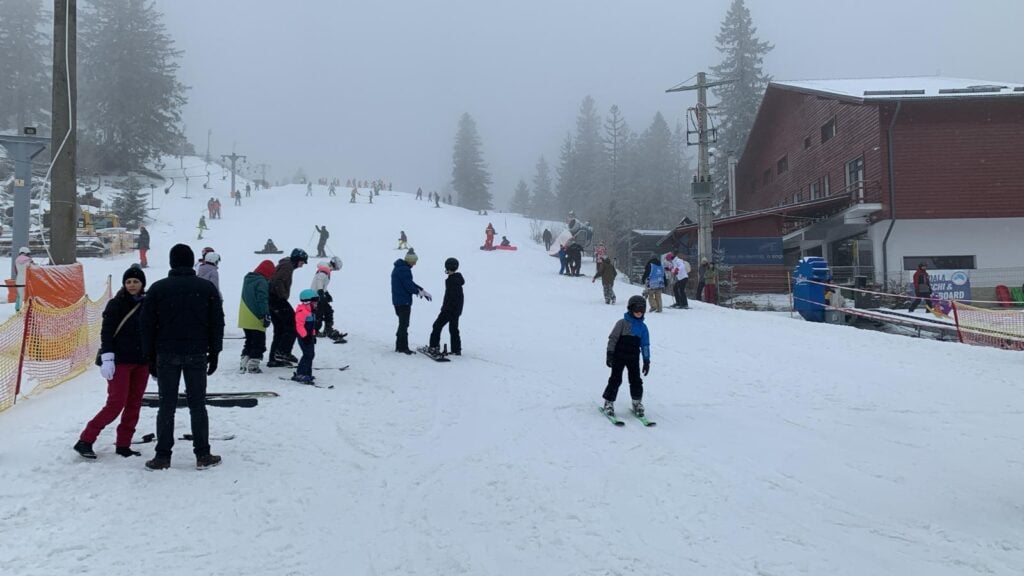 zapada-paltinis-3-mu4b