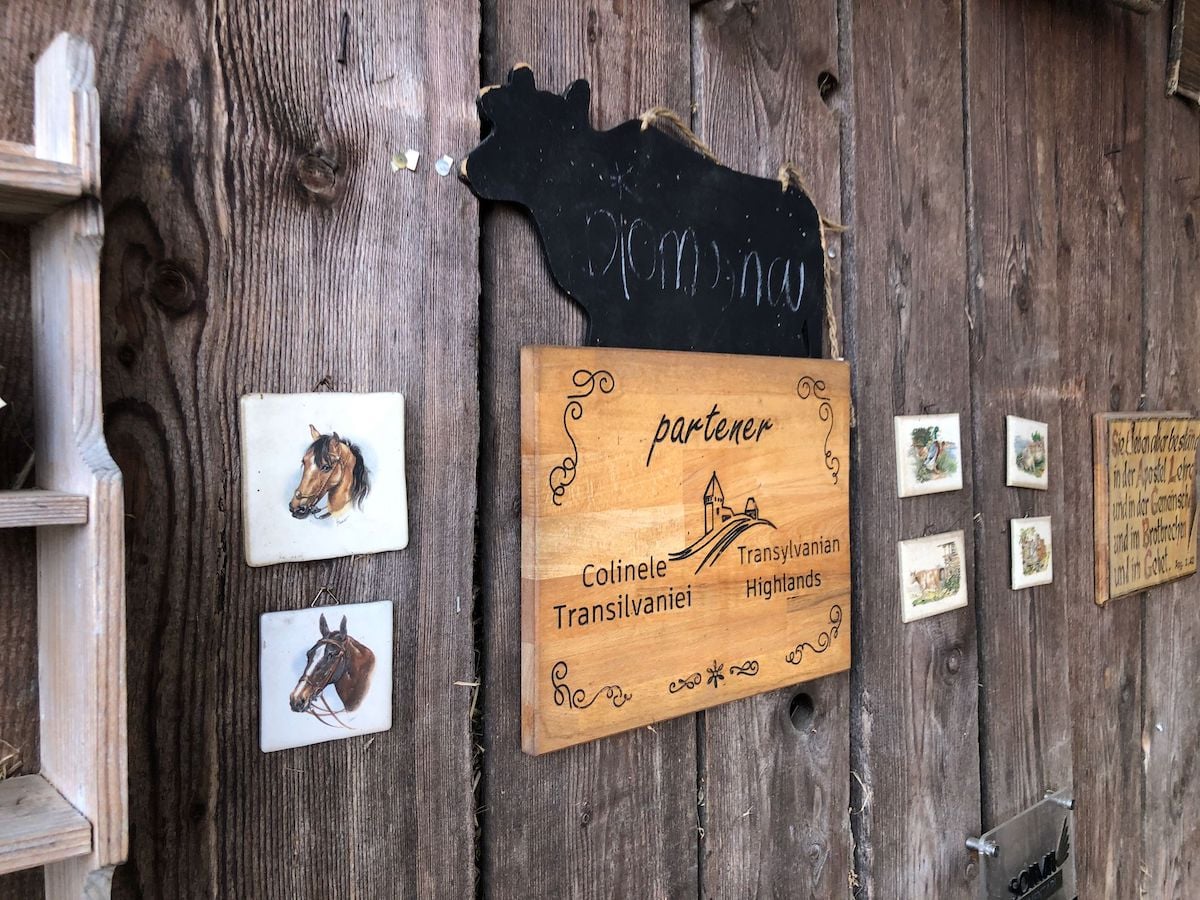 Am fost la punctul gastronomic Bio-Moșna, locul din județul Sibiu admirat și de jurnaliștii de la National Geographic. Gazdă: Aici, oamenii experimentează viața de la țară și mănâncă preparate făcute în gospodăria noastră