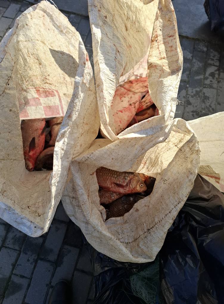 Un braconier a rămas fără barcă și unelte după ce au fost confiscate de polițiștii sibieni. Bărbatul s-a ales cu dosar penal
