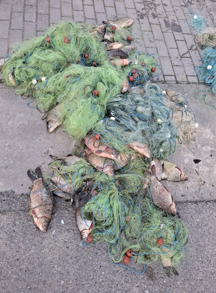 Un braconier a rămas fără barcă și unelte după ce au fost confiscate de polițiștii sibieni. Bărbatul s-a ales cu dosar penal
