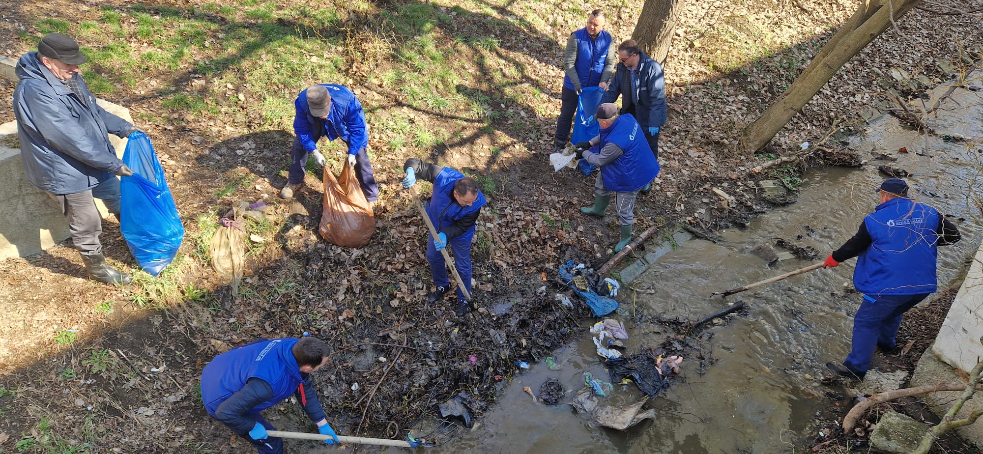 ecologizare-sibiu-w1la