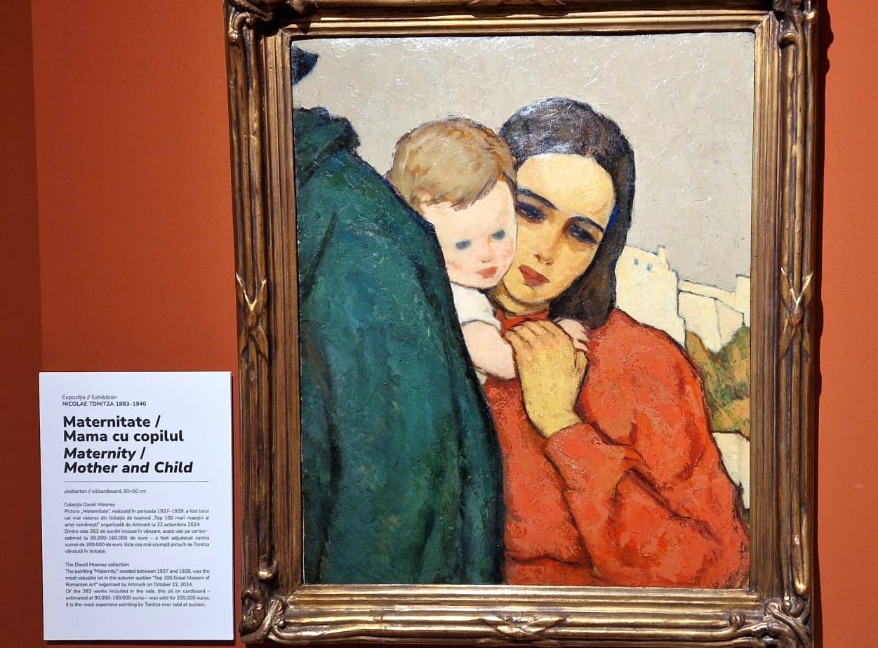 toniza-maternitate-expo-mhag