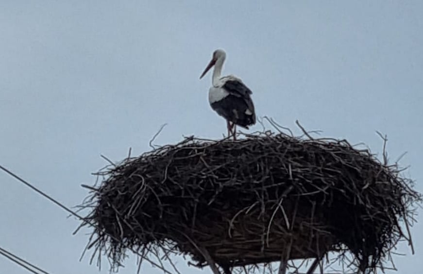 whatsapp-image-2025-03-12-at-19-48-09-1-oft9