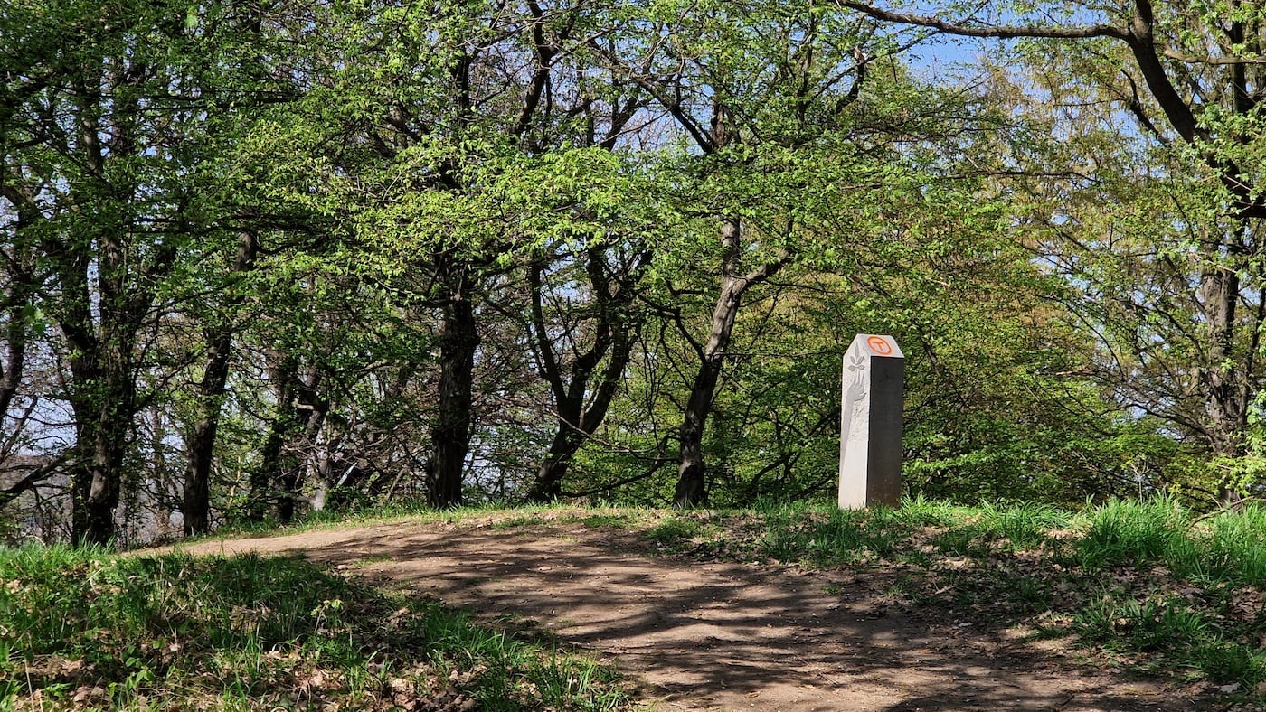 Propunere de ieșire pe noua rută Via Transilvanica din Sibiu. Perfectă pentru toată familia