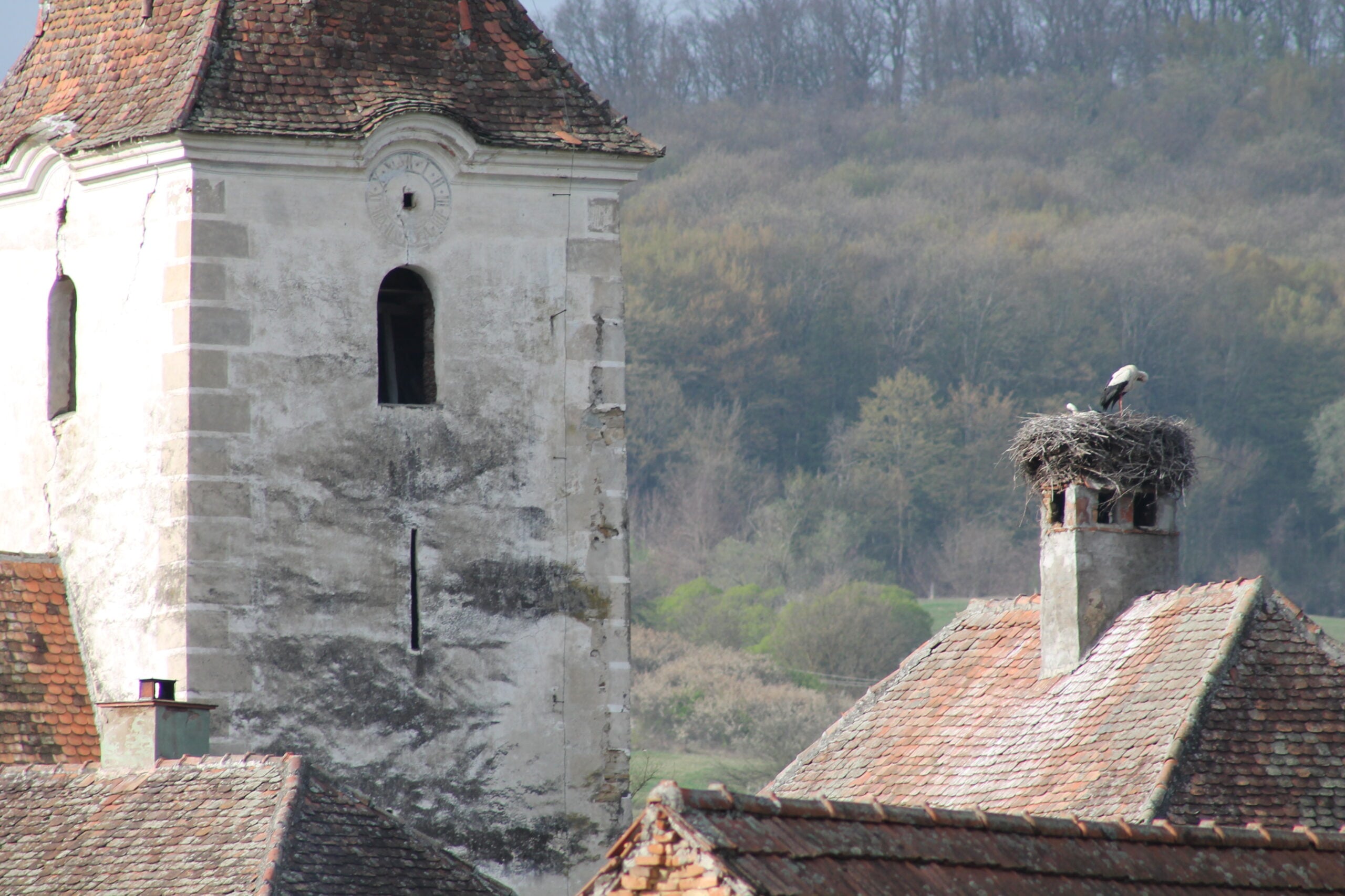 Un olandez, voluntar pentru monumente istorice din țară: „România, te iubesc așa cum ești!” Mesajul său pentru români: „O schimbare trebuie să înceapă de la noi. Nu putem să așteptăm totul de la guvern”