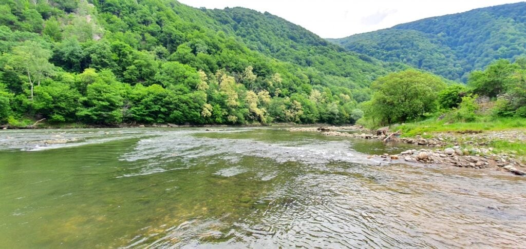 olt-lotrioara-repezis-wepk