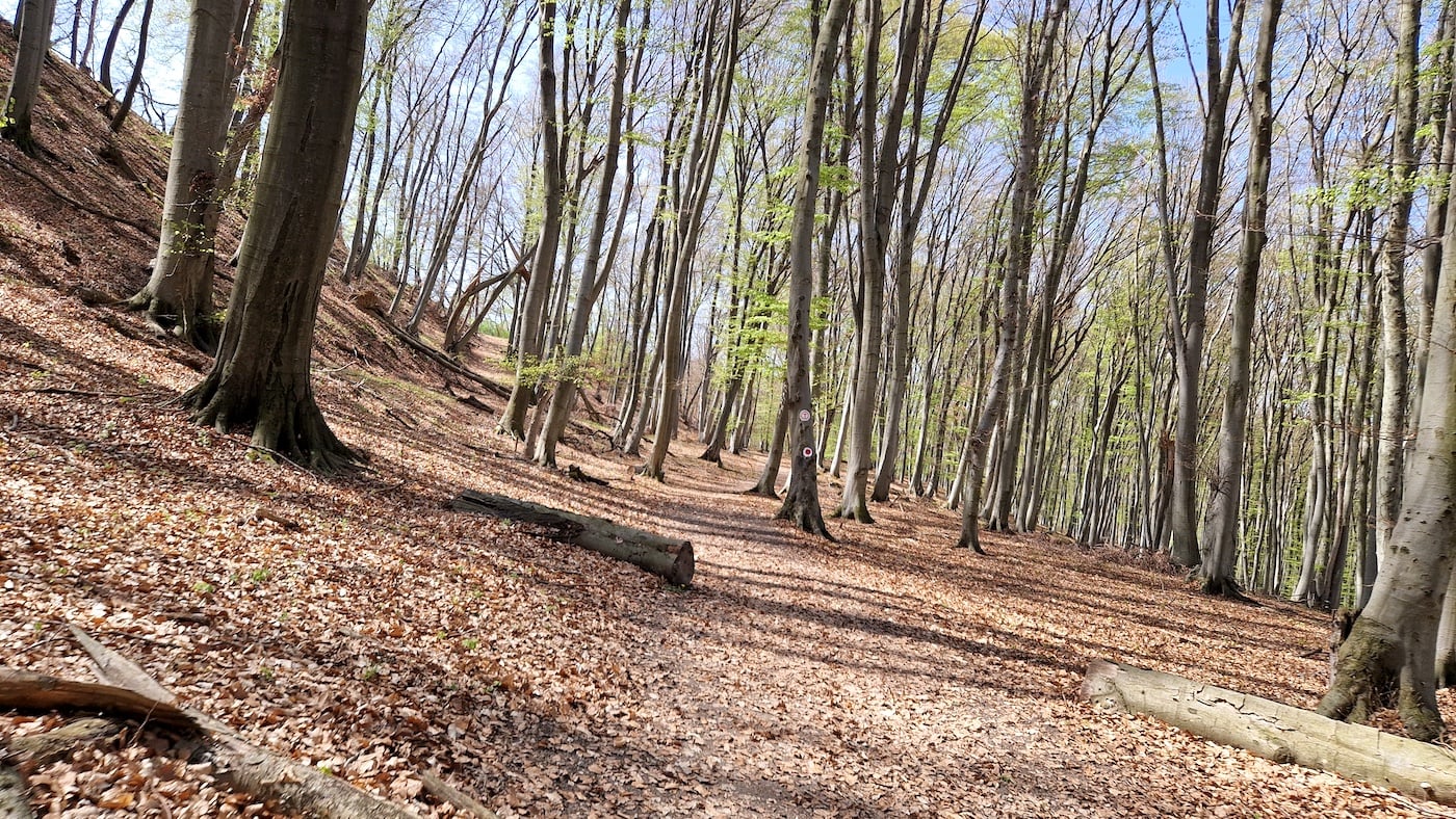 Propunere de ieșire pe noua rută Via Transilvanica din Sibiu. Perfectă pentru toată familia