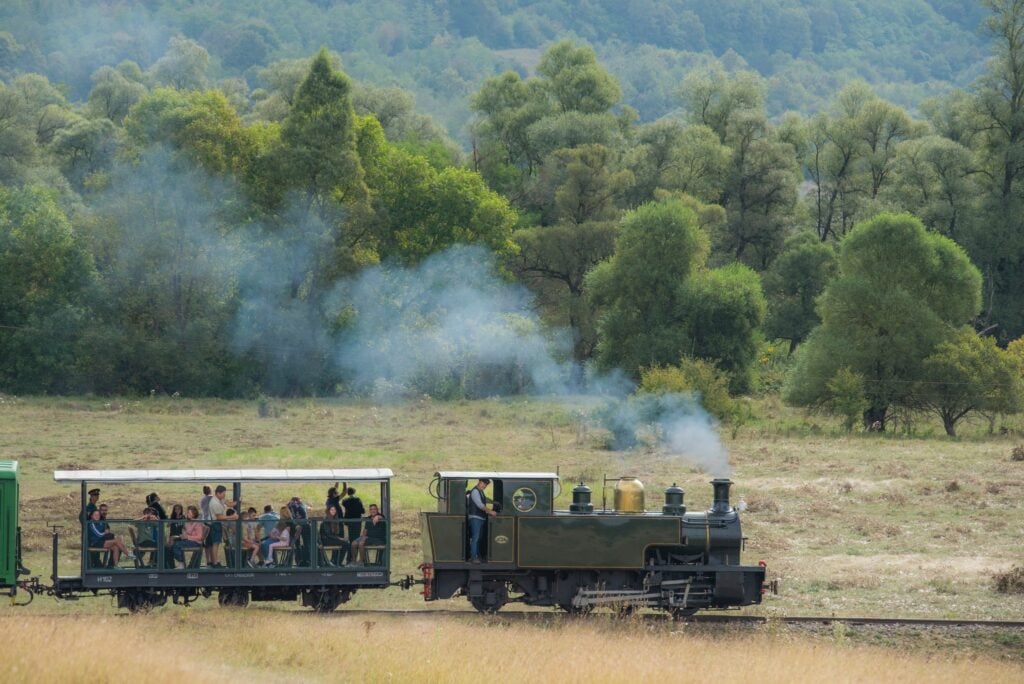 plimbare-cu-mocanita-cu-abur-valea-hartibaciului-foto-prietenii-mocanitei-zfdf