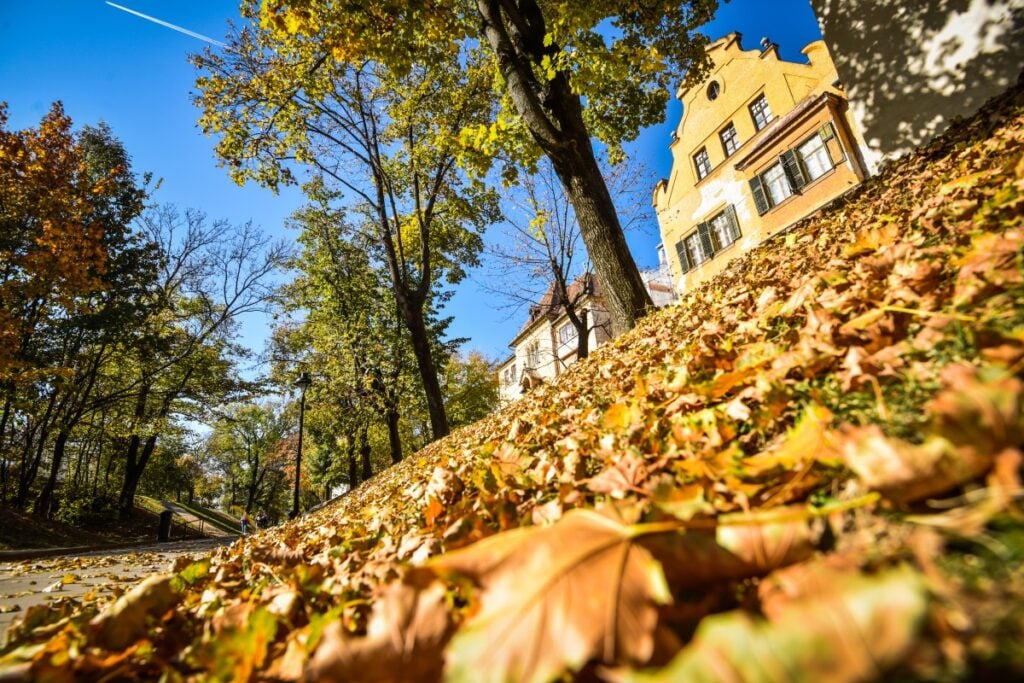 sibiu-parcul-cetatii-toamna-2-cncg