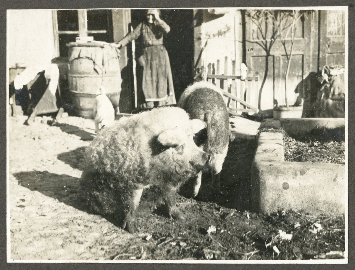 Fotografii regăsite ale Sibiului anilor 1916-1917. Români, sași, romi, copii la joacă și la școală. Imagine inedită cu fosta biserică de lângă gară