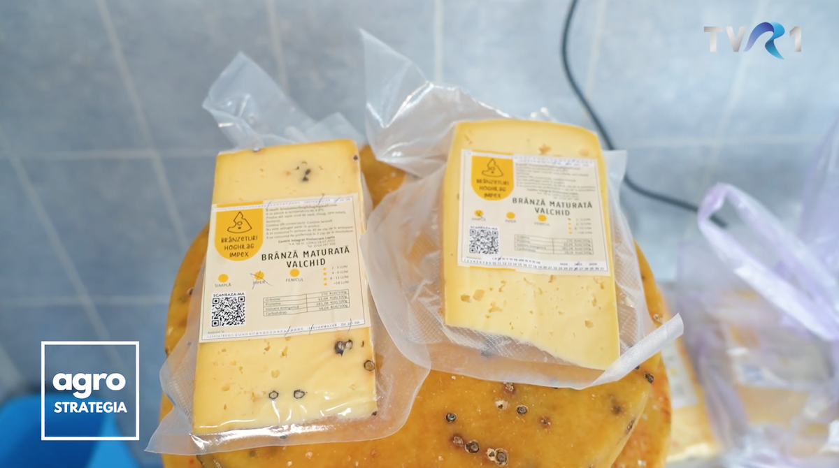 „Brânza asta e aur”. Povestea unui producător de brânzeturi maturate care a învățat meșteșugul în Italia și îl reinventează la Hoghilag
