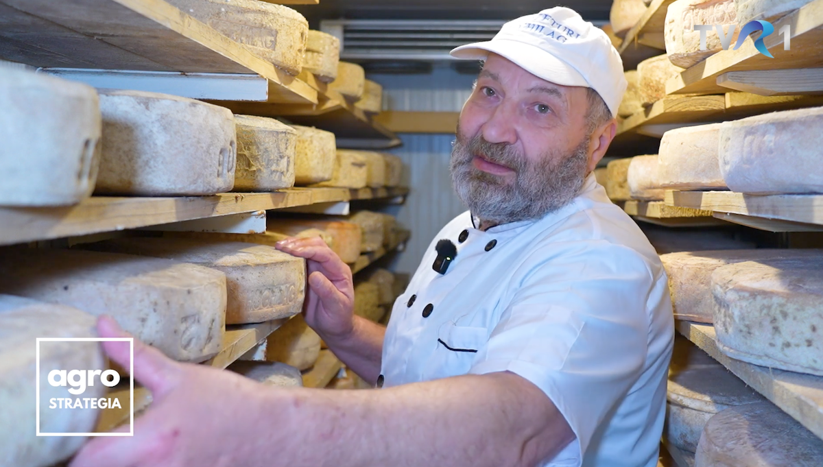 „Brânza asta e aur”. Povestea unui producător de brânzeturi maturate care a învățat meșteșugul în Italia și îl reinventează la Hoghilag