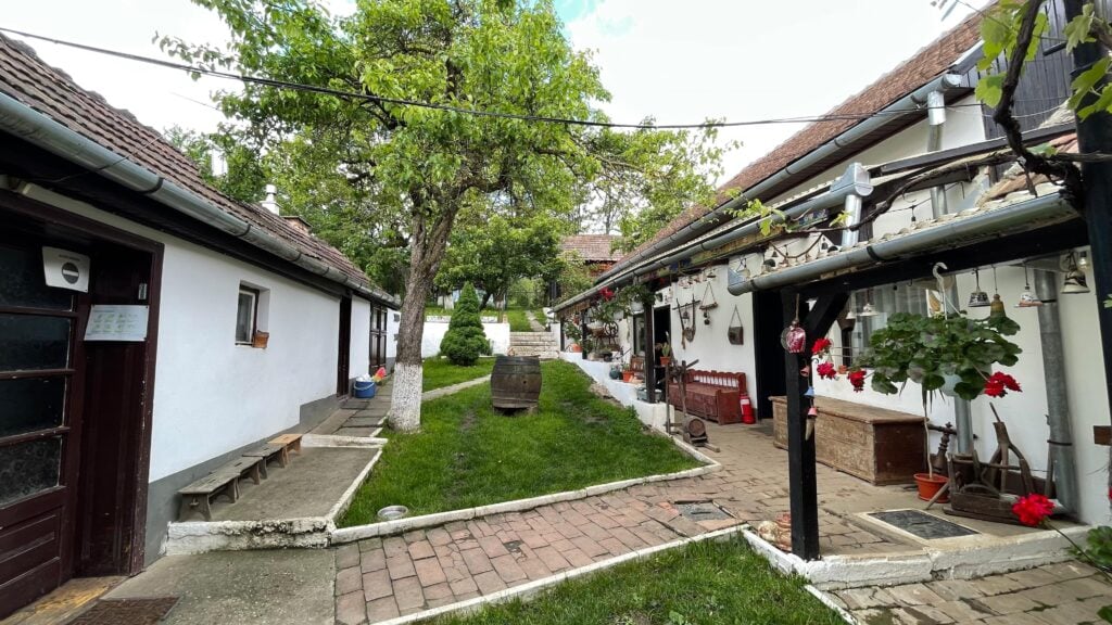 bassen-pension-bazna14-li7l