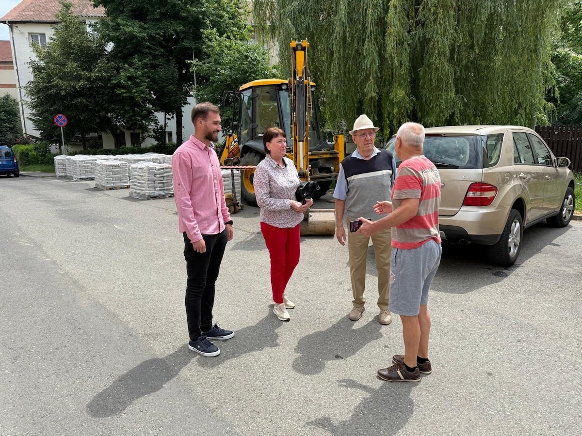 corina-bokor-vizita-imobil-constitutiei-sursa-psd-6-sjuk
