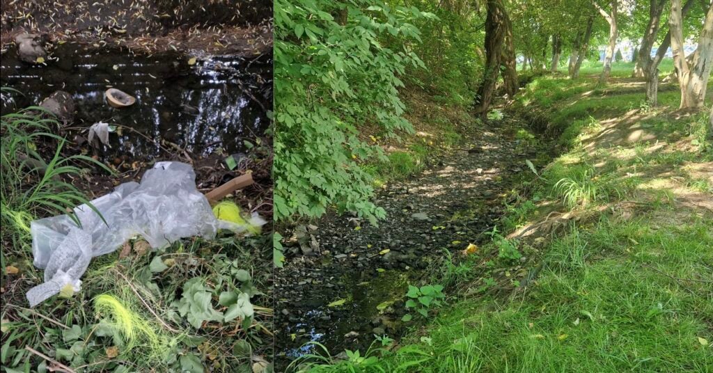 curatenie-inainte-si-dupa-myk8