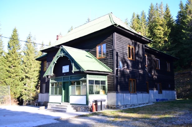 tabara-trecatoarea-cerbilor-paltinis-ms4v