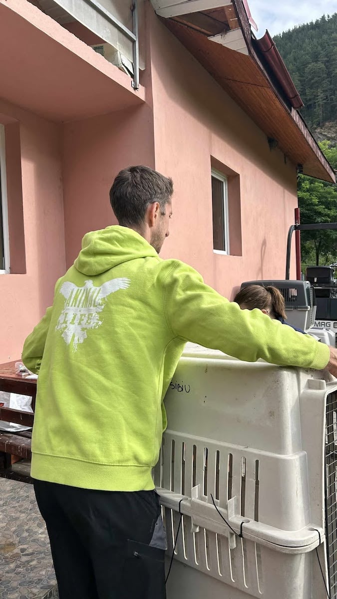 360 de animale sterilizate gratuit de Animal Life, la Rășinari: „De la o campanie la alta, vedem tot mai mulți oameni deschiși și implicați”