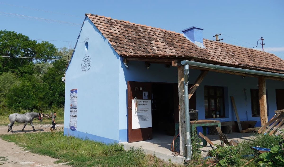 După ce a muncit în construcții și a fost îngrijitor de cai în Austria, un sibian duce mai departe meseria bunicului său și este fierar în Apoș: M-am întors acasă, că tot aici este mai bine