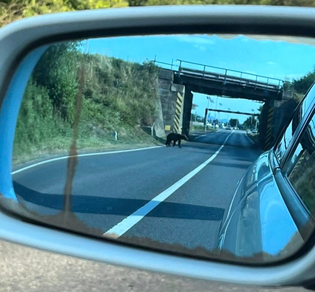urs-la-vestem-info-trafic-sibiu-hpxv