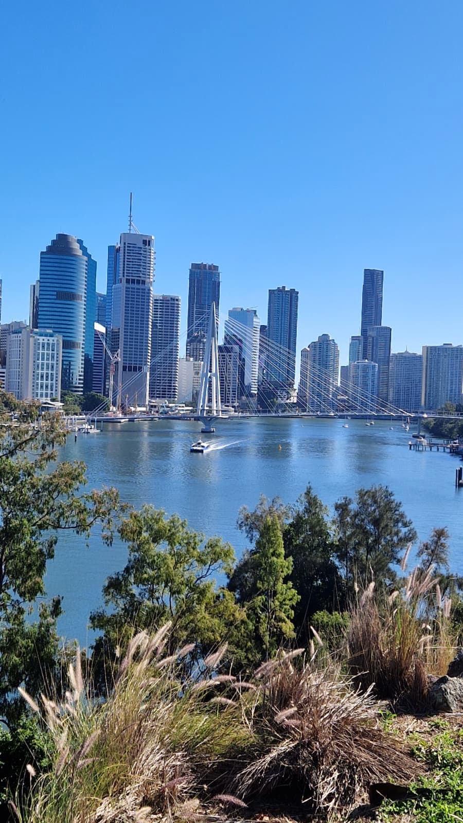 De la Colegiul Brukenthal la Viena și apoi în Australia: cum arată un semestru Erasmus la University of Queensland prin ochii studentei Alexia Țabra