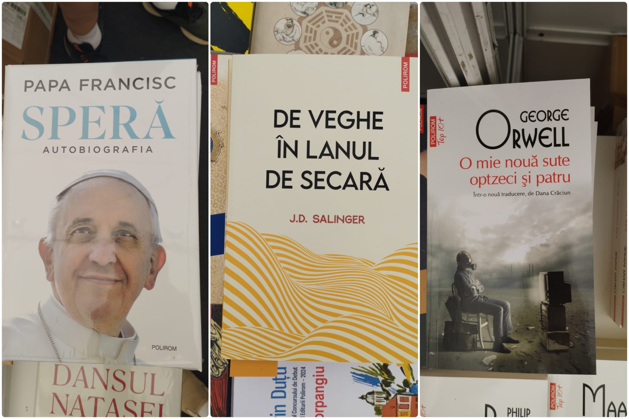 Top 3 cărți recomandate de cinci edituri prezente la Târgul de carte Gaudeamus din centrul Sibiului. Vânzările în prima zi au fost „slabe”, cu excepția cărților de anticariat