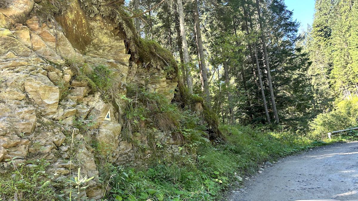 VIDEO / Cabana Crăciuneasa din Mărginimea Sibiului te întâmpină cu Roni, băiatul din Bangladesh. „Am învățat româna cu ajutorul telefonului și al oamenilor care vin la cabană”