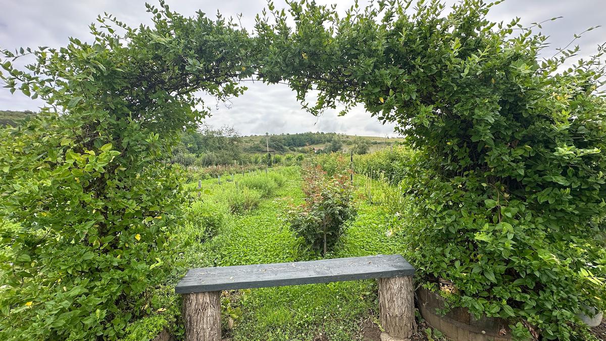 „Grădina cu de toate”, gospodăria în care poarta este deschisă tot timpul, chiar dacă proprietarii nu sunt acasă. „Dacă ei au încredere să cumpere de la noi, să avem și noi încredere că fac ceea ce trebuie să facă”