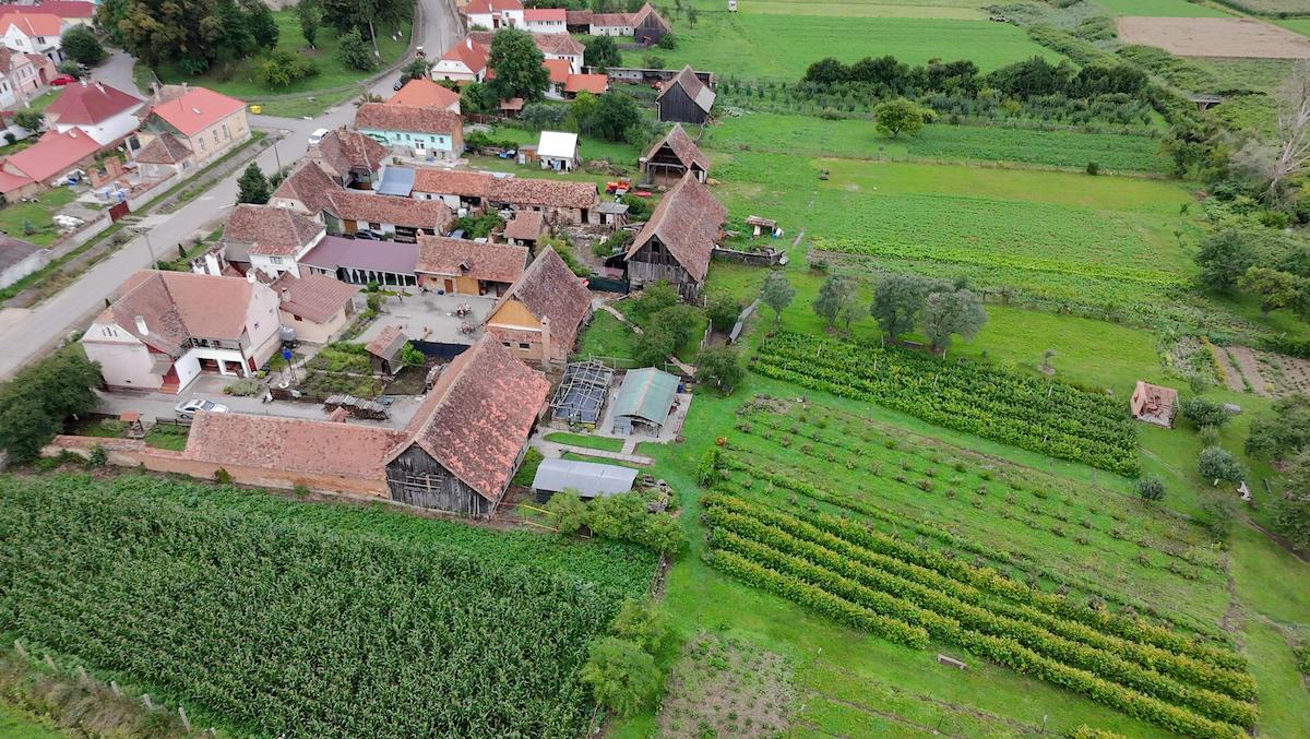 „Grădina cu de toate”, gospodăria în care poarta este deschisă tot timpul, chiar dacă proprietarii nu sunt acasă. „Dacă ei au încredere să cumpere de la noi, să avem și noi încredere că fac ceea ce trebuie să facă”