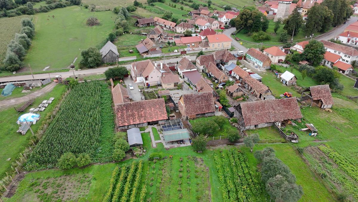 „Grădina cu de toate”, gospodăria în care poarta este deschisă tot timpul, chiar dacă proprietarii nu sunt acasă. „Dacă ei au încredere să cumpere de la noi, să avem și noi încredere că fac ceea ce trebuie să facă”