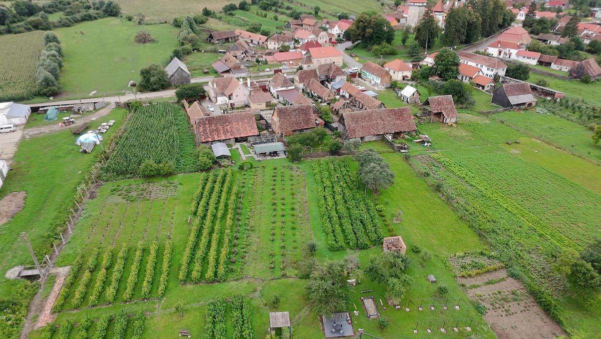 „Grădina cu de toate”, gospodăria în care poarta este deschisă tot timpul, chiar dacă proprietarii nu sunt acasă. „Dacă ei au încredere să cumpere de la noi, să avem și noi încredere că fac ceea ce trebuie să facă”