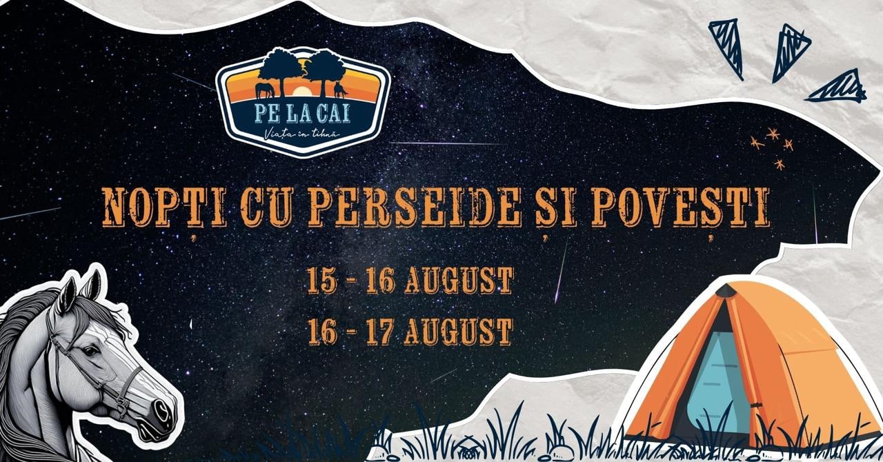 Ce facem în minivacanța de Sfânta Maria? Astra Rock, târg creativ în Piața Huet și târg de carte în Piața Mare, Festivalul Plăcintelor de la Tălmăcel, paradă a câinilor ciobănești românești