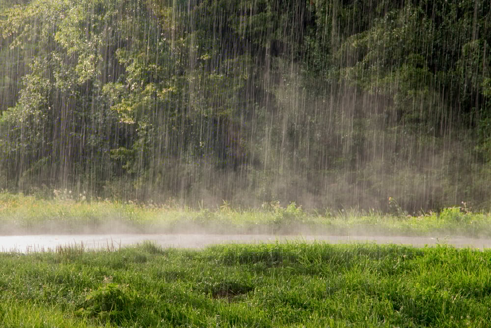 Heavy rain falls on a road from which haze rises