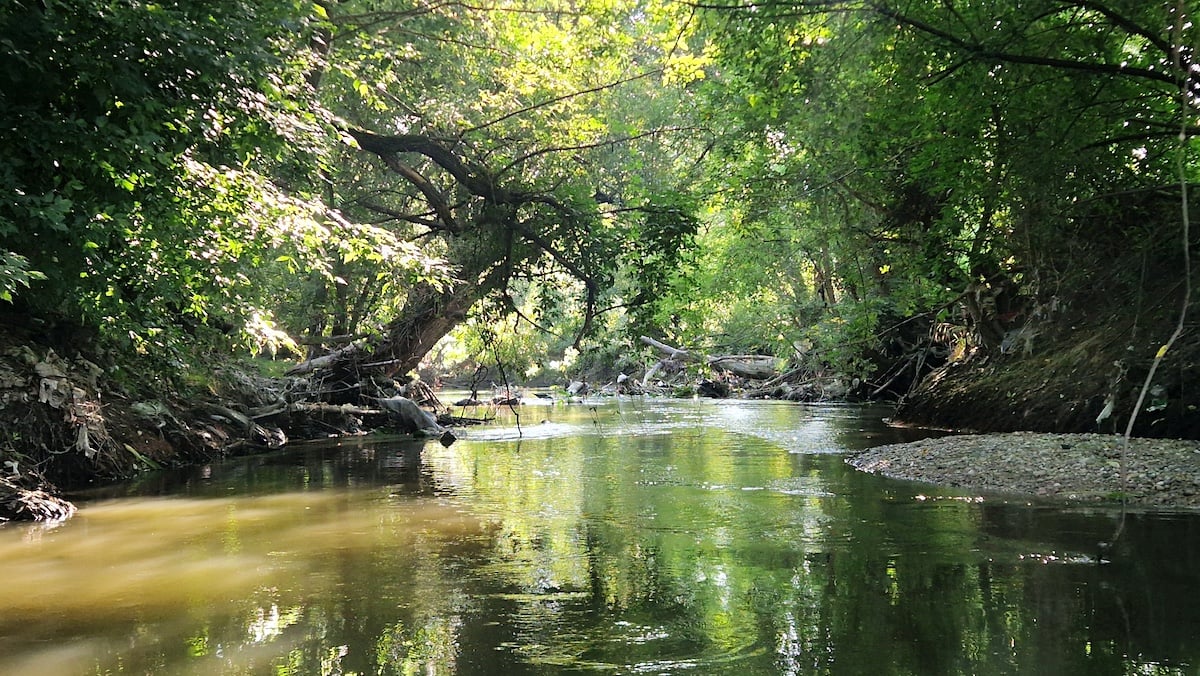 Am coborât cu barca pe Cibin din Sibiu până la Tălmaciu: aventură, fascinație și revoltă