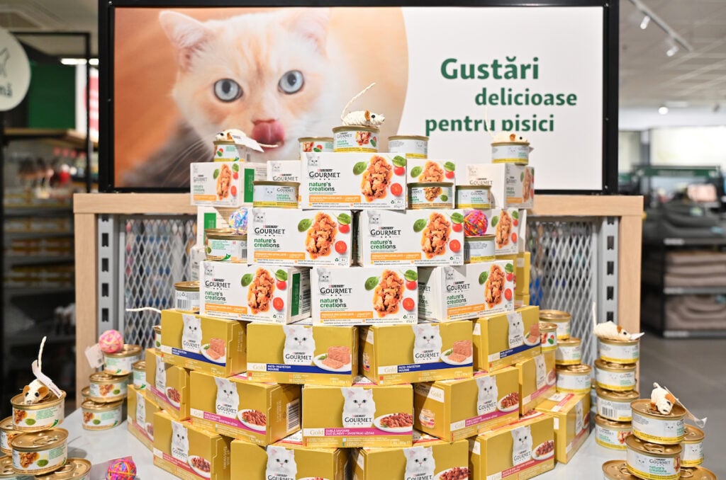 shopping-city-sibiu-pet-fest-2025-2-ejvn