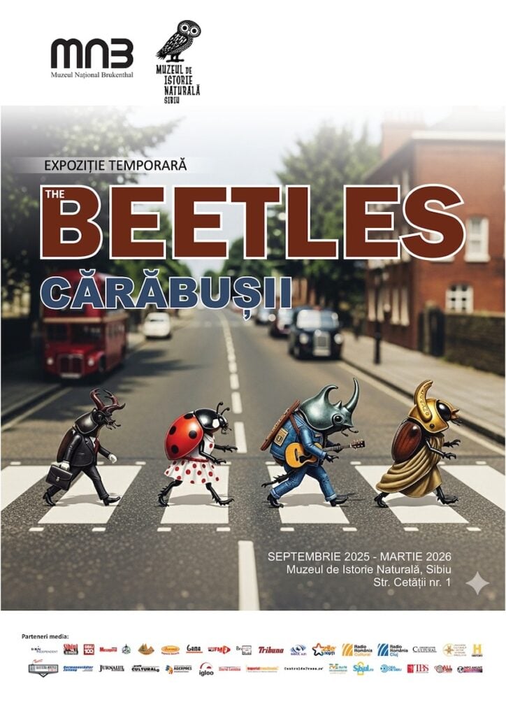 afis-expozitia-beetles-2025-hi0t