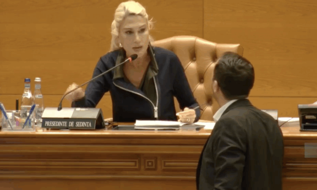 raluca-turcan-parlament-captura-ecran-qrrc