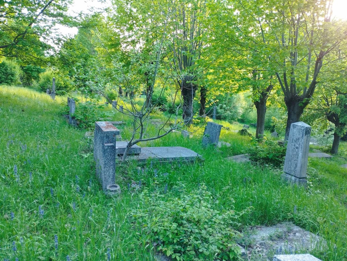 VIDEO - Cimitir în pădure. Zeci de morminte de sute de ani ale sașilor din Richiș stau părăsite printre copaci