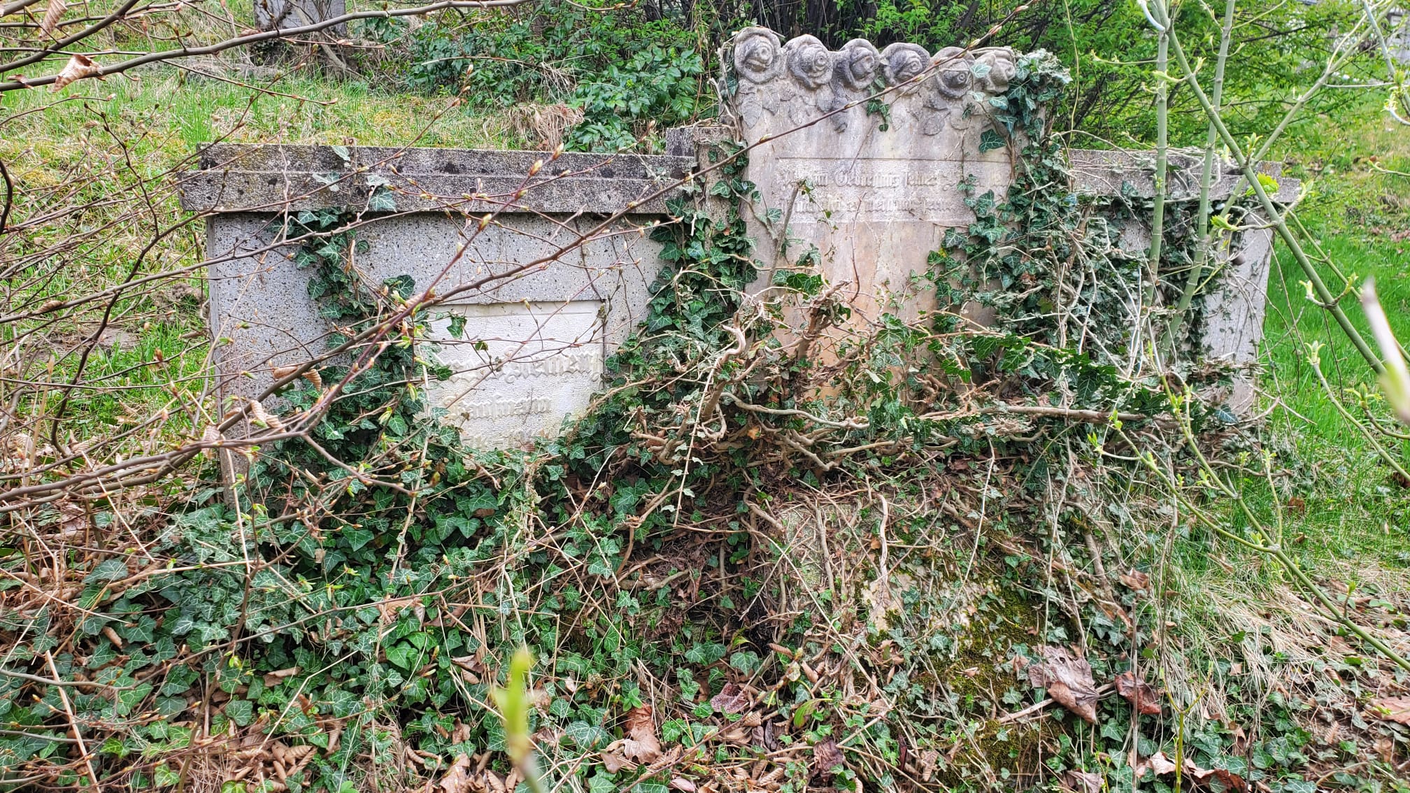 VIDEO - Cimitir în pădure. Zeci de morminte de sute de ani ale sașilor din Richiș stau părăsite printre copaci
